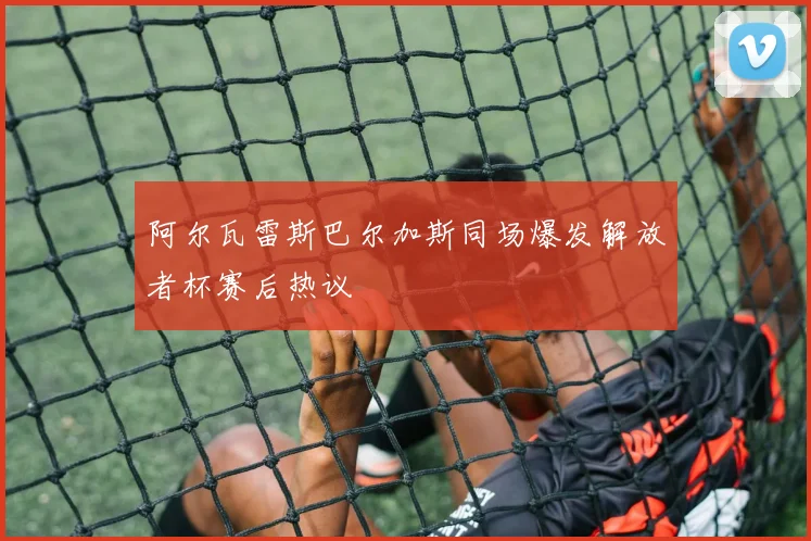 阿尔瓦雷斯巴尔加斯同场爆发解放者杯赛后热议