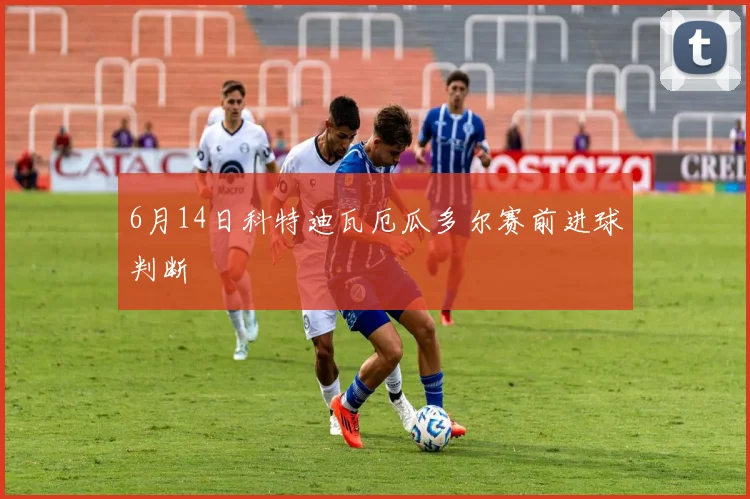 6月14日科特迪瓦厄瓜多尔赛前进球判断
