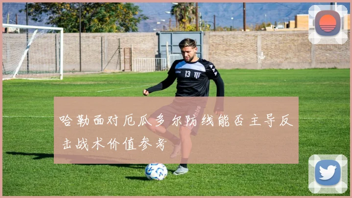 哈勒面对厄瓜多尔防线能否主导反击战术价值参考