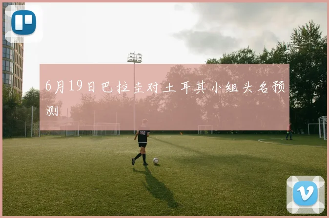 6月19日巴拉圭对土耳其小组头名预测