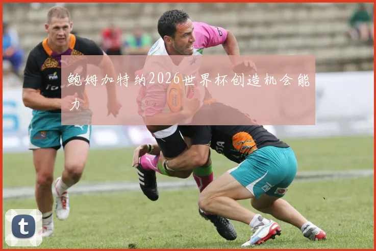 鲍姆加特纳2026世界杯创造机会能力